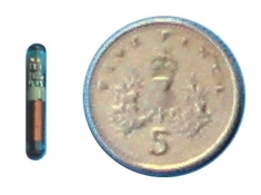 saddle trac microchip